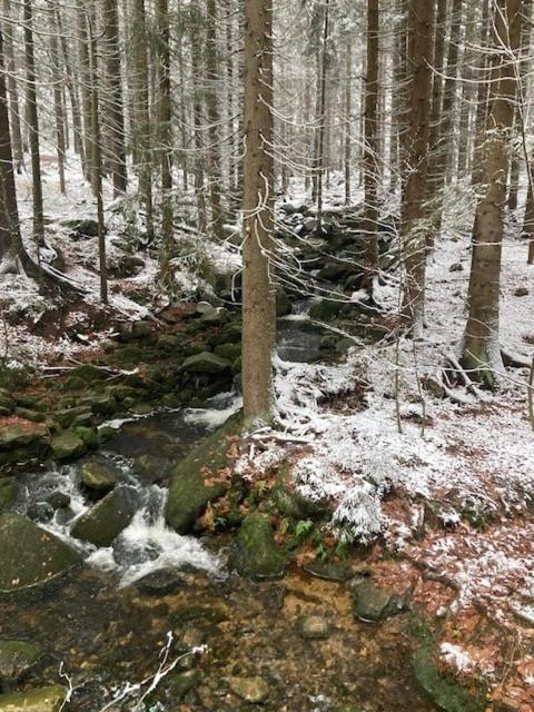 Harrachov 702 Lägenhet Exteriör bild